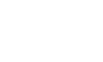 bobcat logo vector